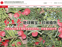 Tablet Screenshot of hongdoushan.com.cn